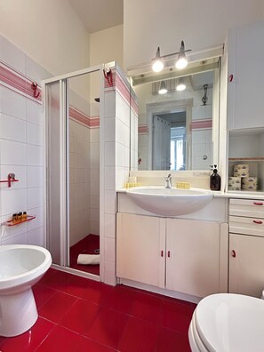 Shower, hair dryer, bidet, towels