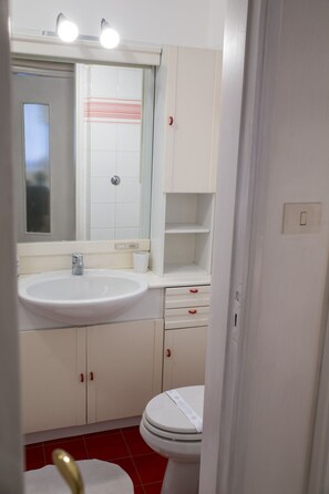 Shower, hair dryer, bidet, towels