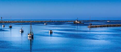 A calm harbor with several boats anchored near a breakwater.