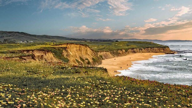 Paesaggio costiero con spiaggia, scogliere erbose e fiori selvatici.
