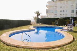 Una piscina con borde de azulejos, rodeada por un césped y un seto.
