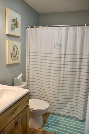 Combined shower/bathtub, hair dryer