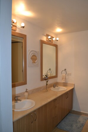 Combined shower/tub, hair dryer, bidet, towels