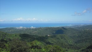Beach/ocean view