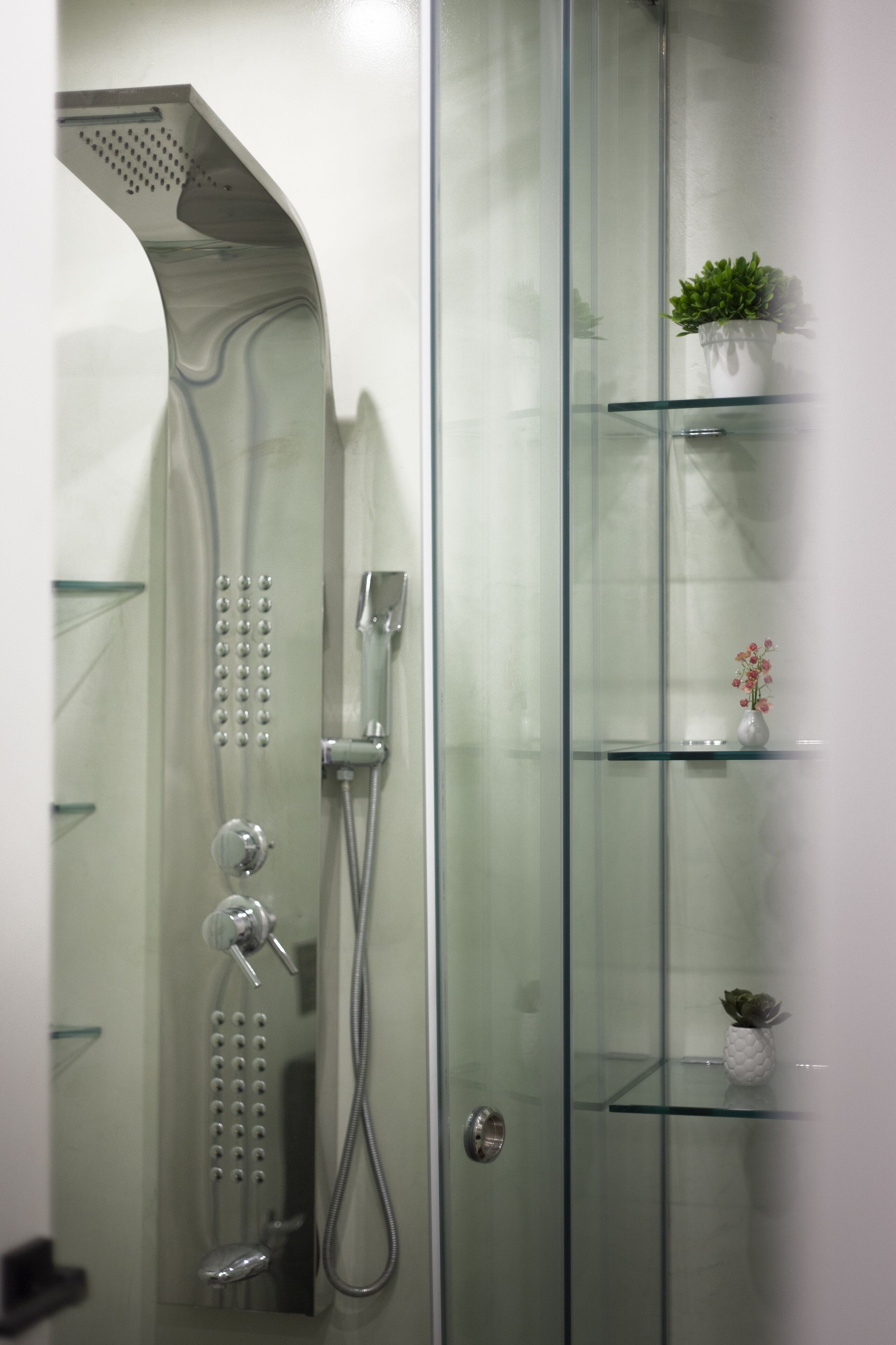 Une douche moderne avec un espace clos en verre, une étagère en verre ornée d’une plante en pot et une porte en verre.