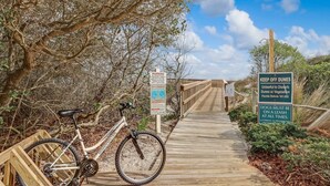A wooden boardwalk with a bicycle parked on the left, surrounded by trees and vegetation.