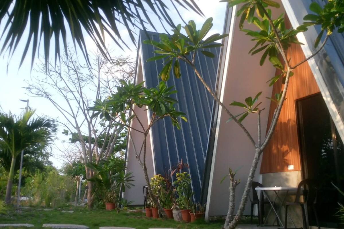 A modern building with a sloped roof, surrounded by potted plants and a grassy area.