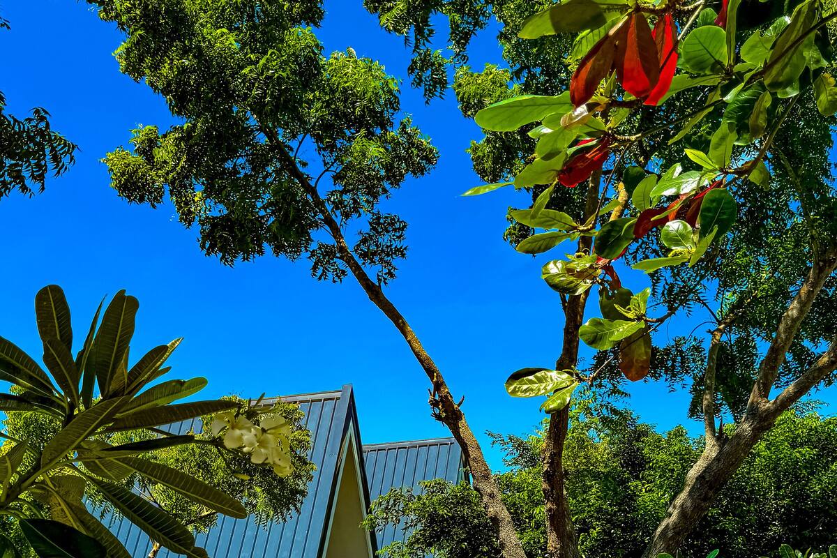 Deluxe Cottage, Garden View | Egyptian cotton sheets, premium bedding, memory foam beds, WiFi (free)
