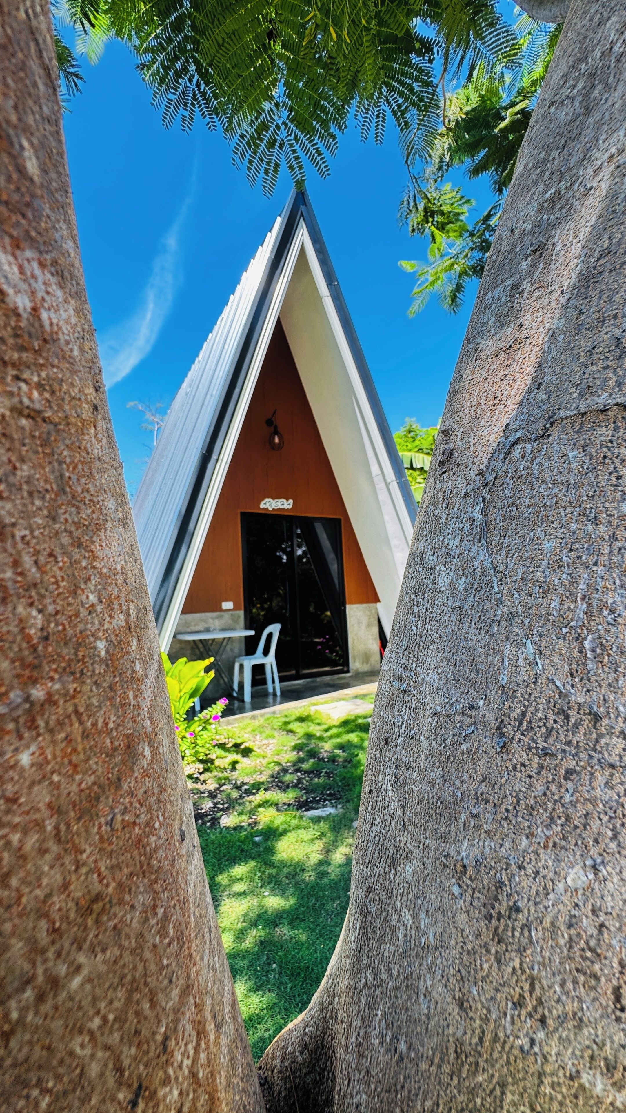 Un edificio moderno de forma triangular con techo plano, rodeado de árboles grandes y una zona verde.