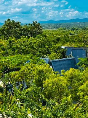 A lush green landscape with dense foliage and a few buildings with blue roofs. - La Plumerias (Moalboal)