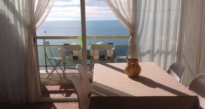 BEL APPARTEMENT COSY -VUE FANTASTIQUE-PREMIERE LIGNE MER -PARKING -ROSES PLAGES