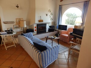 Una televisión, una chimenea, un reproductor de DVD, libros