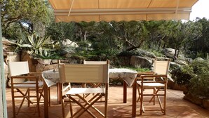 An outdoor patio with four wooden chairs and a table, surrounded by a natural landscape with rocks and greenery. - Villa near the sea, beautiful view, two terraces (PIANOTTOLI CALDARELLO)