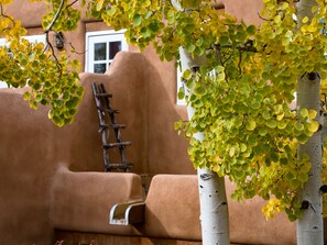 Property grounds - Light Filled, Spacious Casita~Walk to Downtown & Mountain Views (Santa Fe)