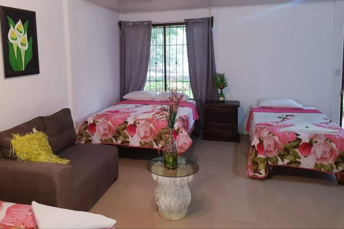 A bedroom with two beds, a sofa, a small table, and a window with curtains.
