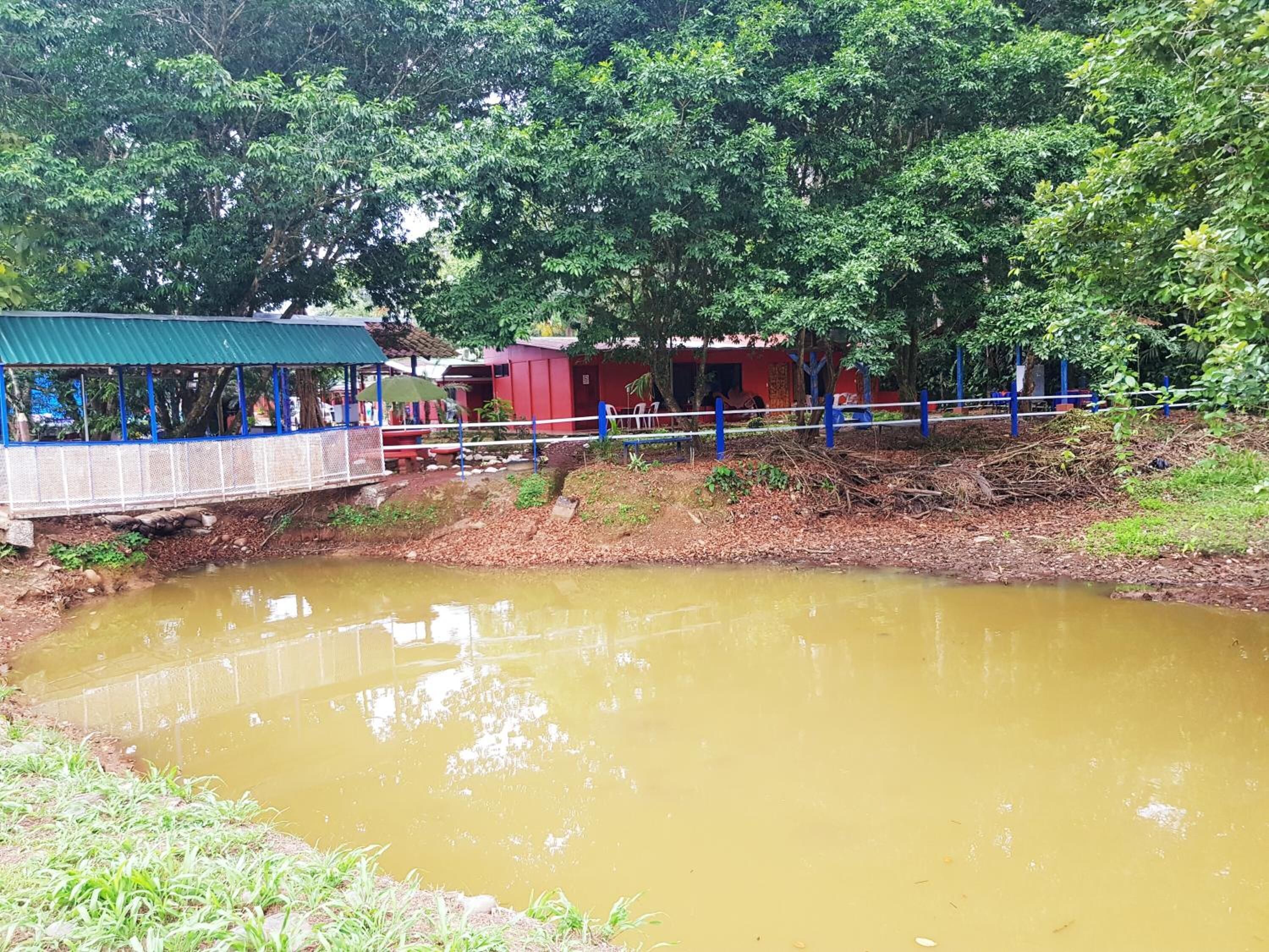 A bridge over a muddy water body with a small structure on the left and dense foliage in the background.