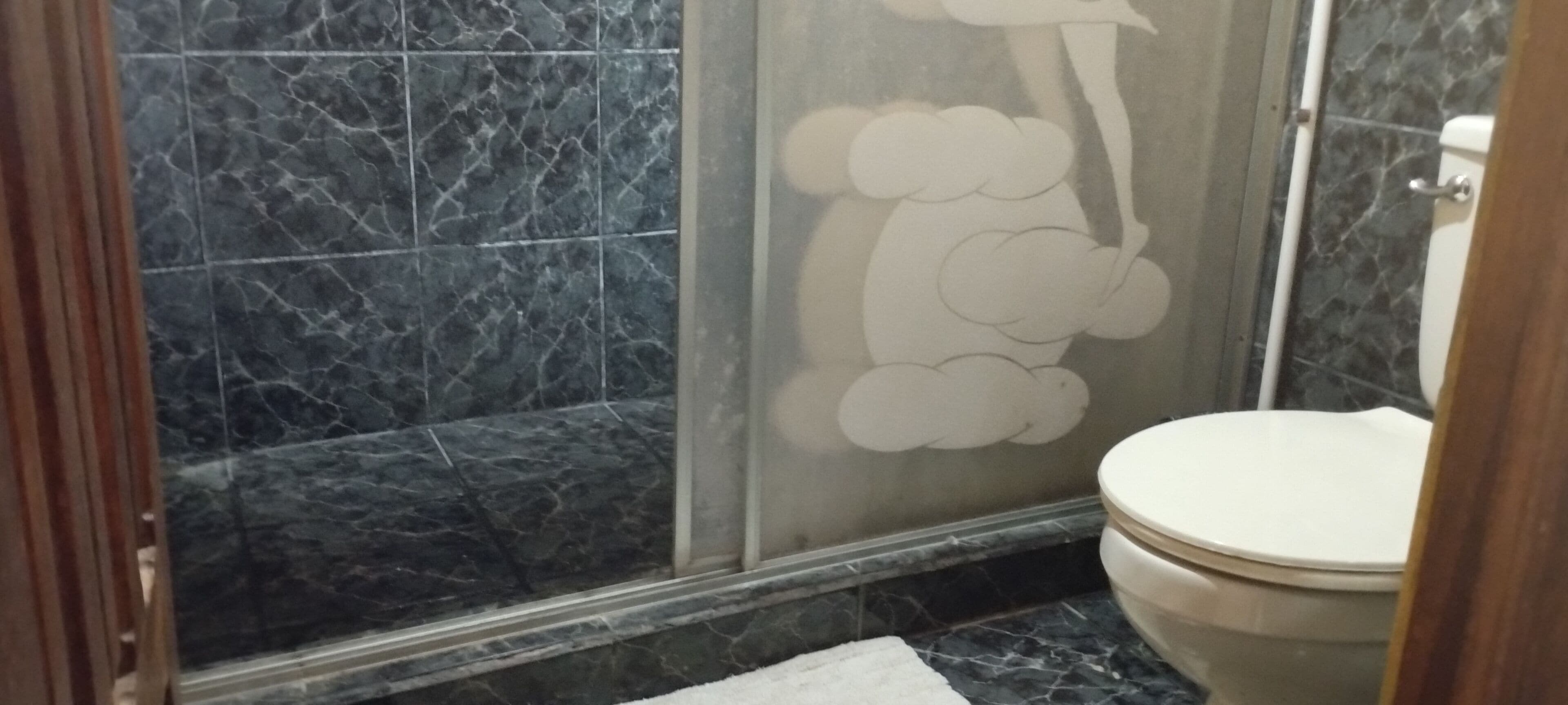 Ein Badezimmer mit Marmorboden, einer Dusche mit Glastür und einer Toilette.