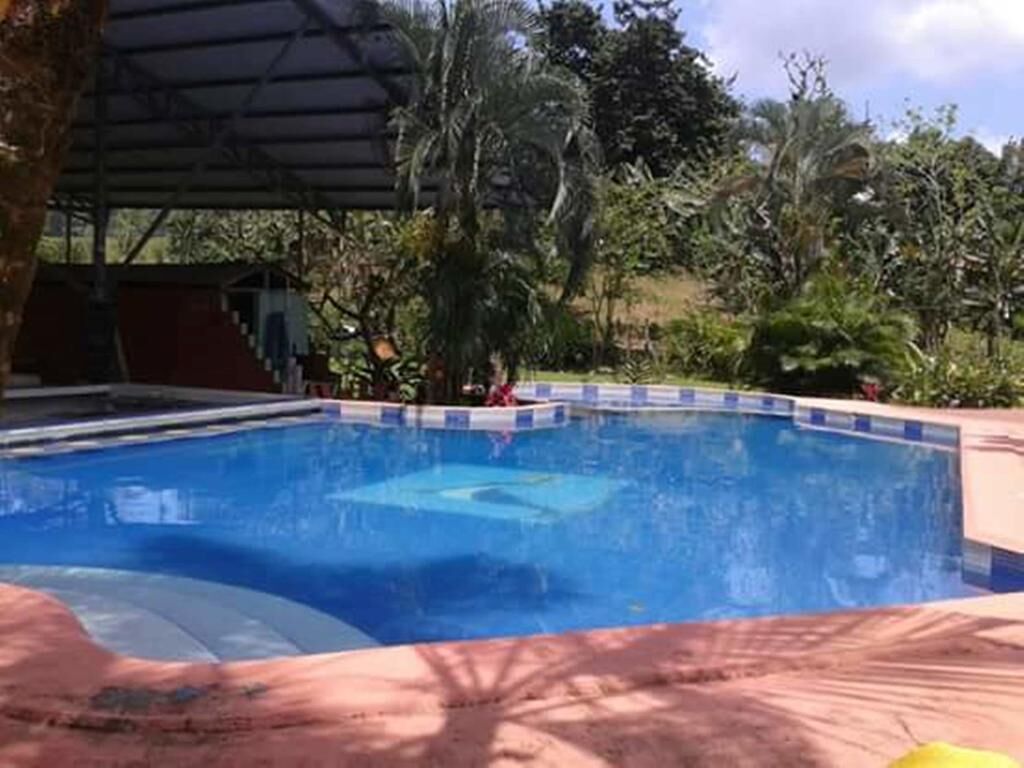 A swimming pool with a covered area and surrounding greenery.