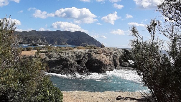 Un sendero costero que lleva a una playa con afloramientos rocosos y un cielo azul despejado.