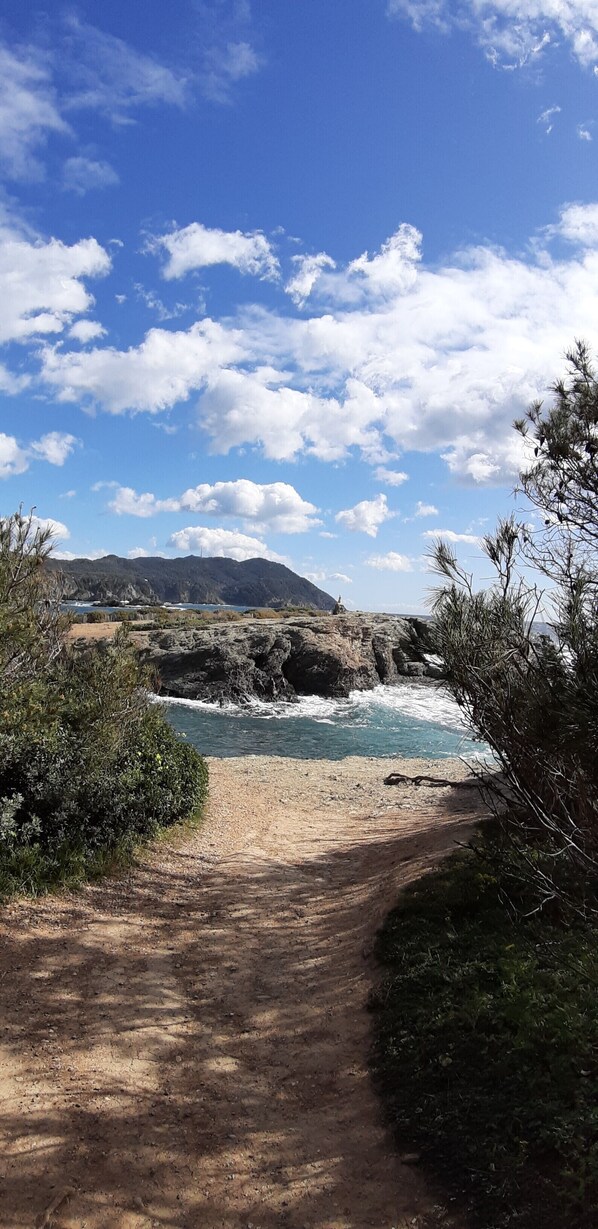 Beach nearby - T2 cute with terrace and garden, 1 min from the port of Brusc, 4 min from the beaches. (Six-Fours-les-Plages)