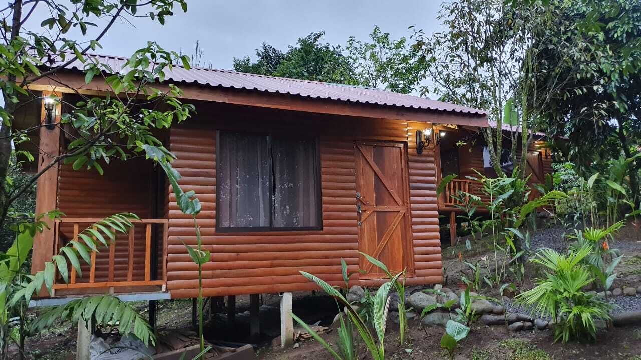 Cabaña estándar | Ropa de cama hipoalergénica, minibar, cortinas blackout y ropa de cama 