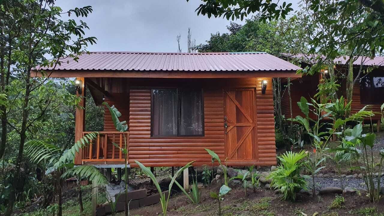 A wooden cabin with a metal roof, surrounded by lush greenery.