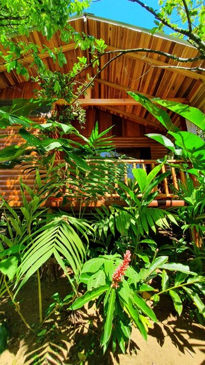 Front of property - Arenal Rustic Lodge (Peñas Blancas)
