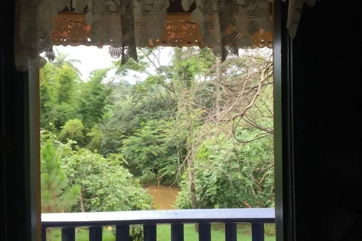 A window with a view of a lush green landscape and a river.