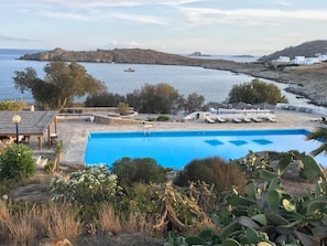Ein Pool mit Blick auf das Meer und die Hügel, umgeben von Kakteen und einigen Bäumen.