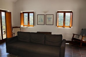 Fernseher, Kamin, DVD-Player, Bücher
