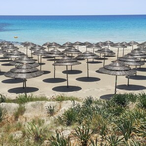 Playa