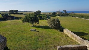 A rural landscape with a stone wall, a small tree, and a distant view of the sea.