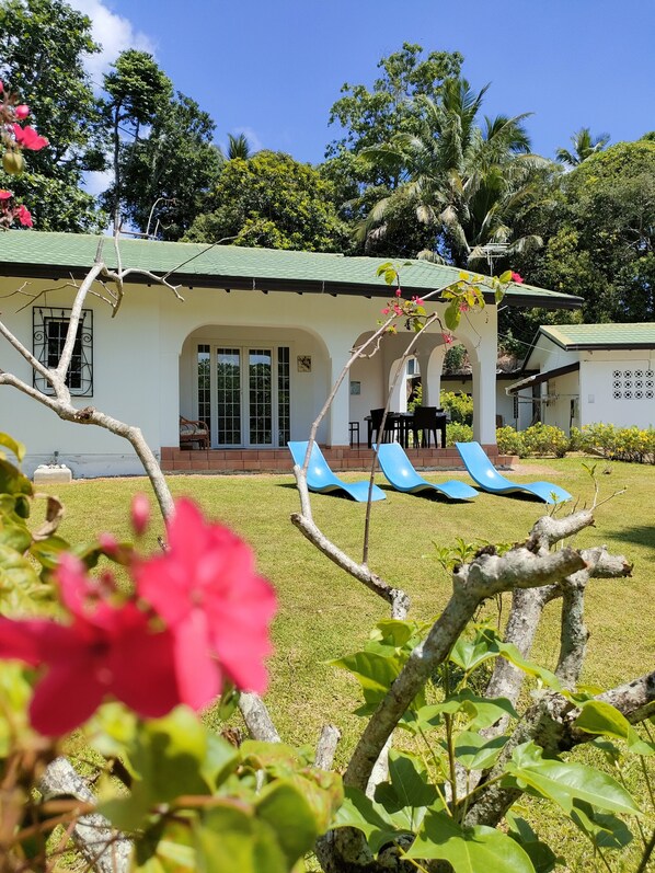 A building with a green roof, a covered patio with blue chairs, and a lawn.