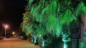 Un chemin pavé bordé de palmiers et éclairé par des lampadaires.