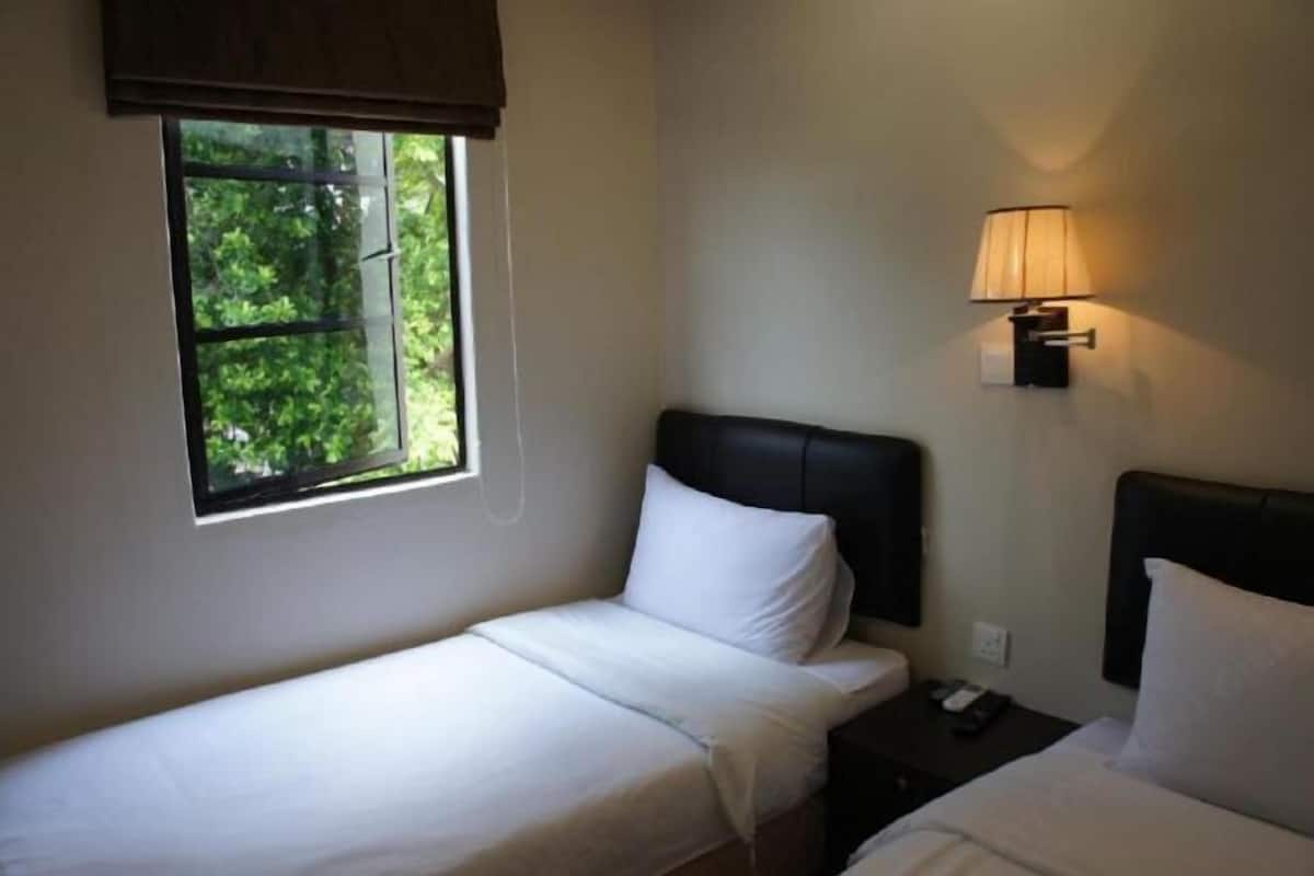 A single bed with white bedding, a nightstand with a lamp, and a window with a view of greenery.