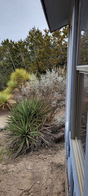 Property grounds - Rustic Cabin Located in the peaceful Texas Hill Country (Comfort)