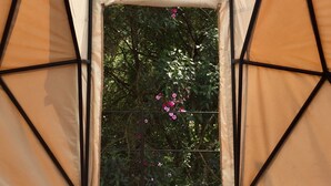 A geometric structure with a transparent roof and walls, leading to a wooden deck and a garden with pink flowers. - Mot Mot Glamping (Filandia)