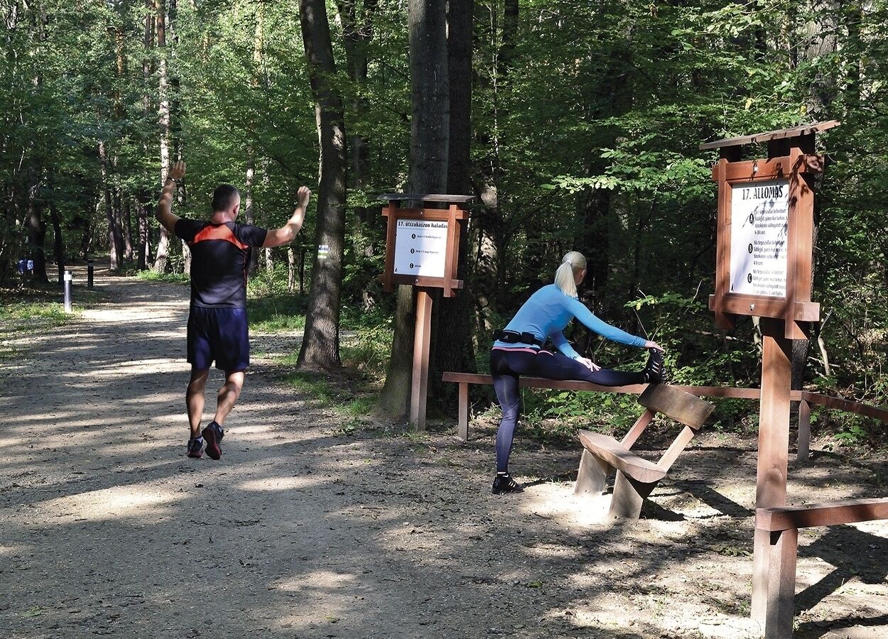 A forested area with a dirt path, wooden benches, and informational signs.