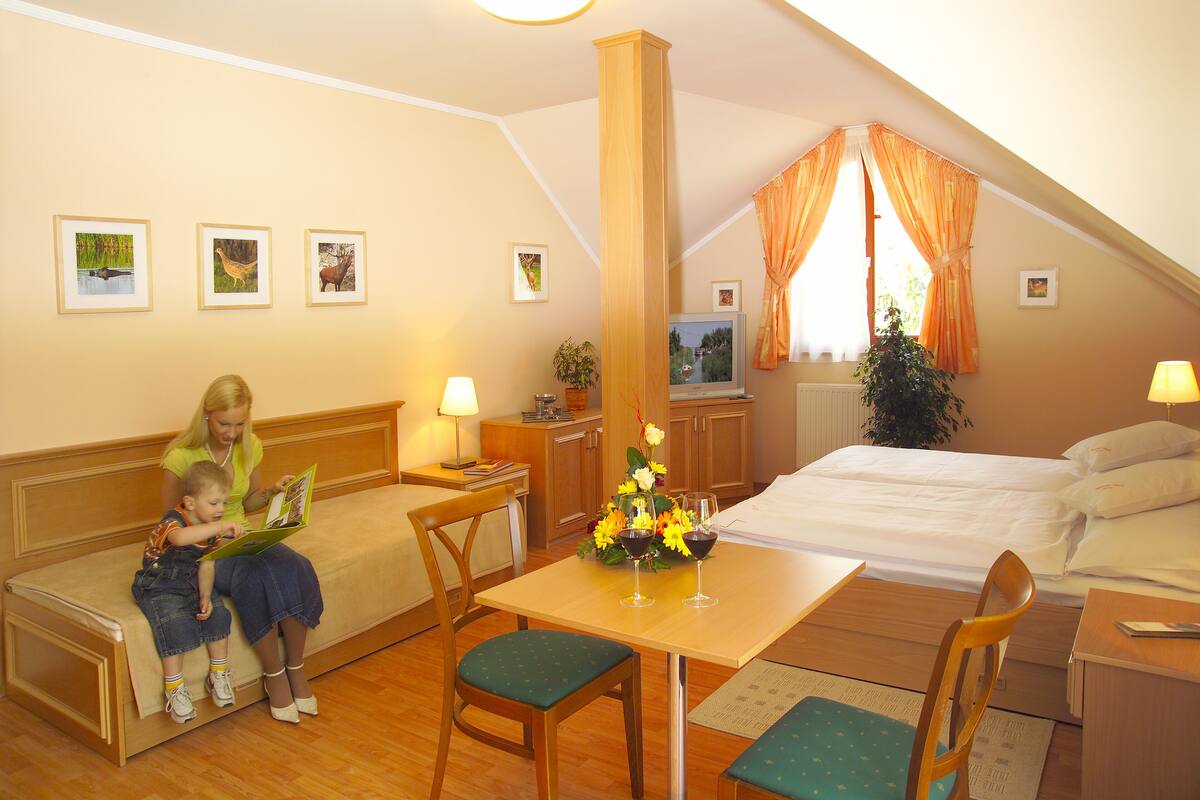 A hotel room with a sofa, a dining table with chairs, a bed, a television, and a window with curtains.
