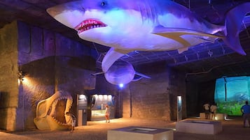 Eine große Haibe Ausstellung in einem Museum mit sandigem Boden und Informationsschildern.