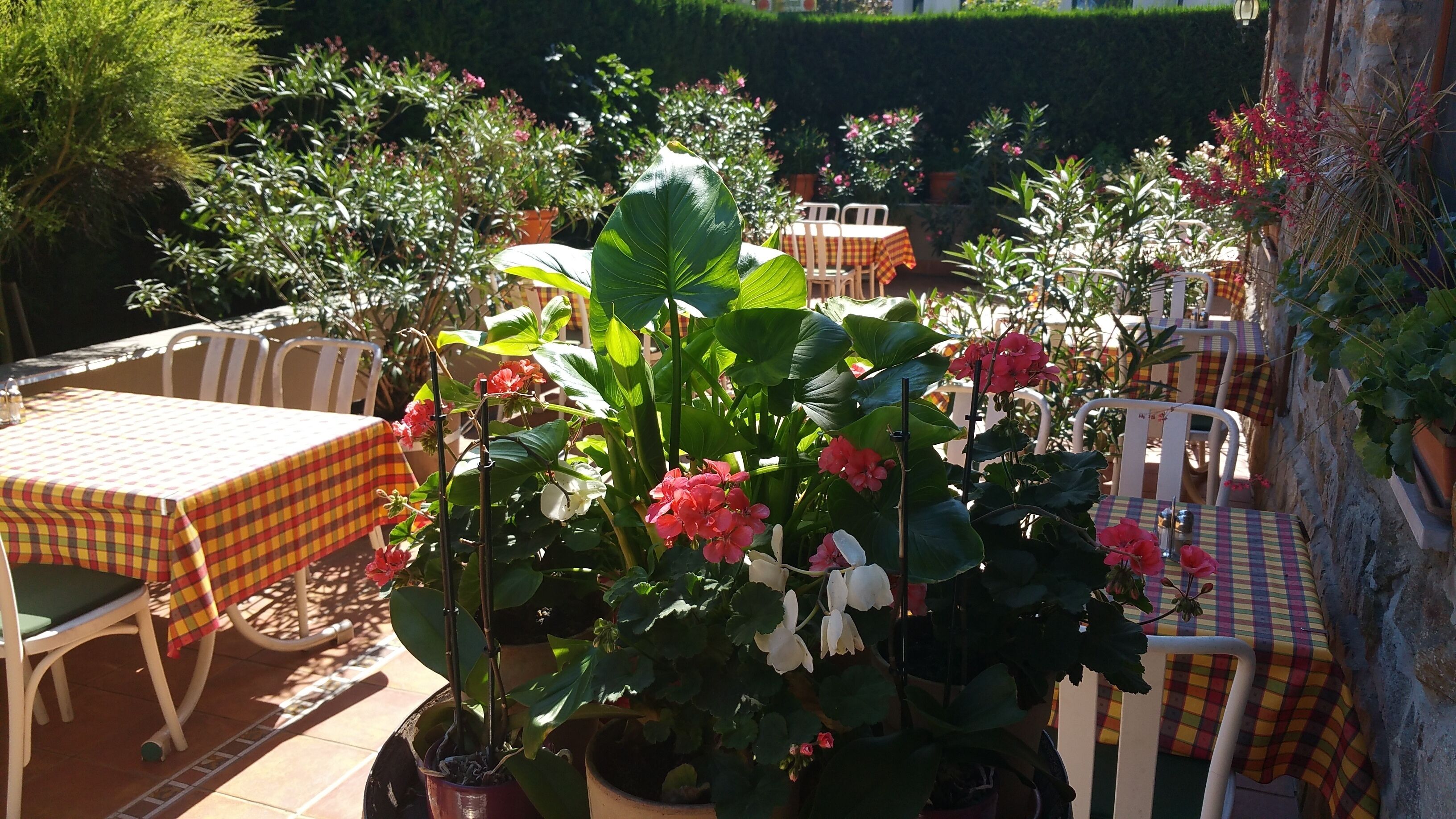 An outdoor patio with tables and chairs, surrounded by potted plants and flowers.