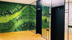 A modern elevator with a green wall design and a wooden floor. - Metro Hotel (Yunlin)