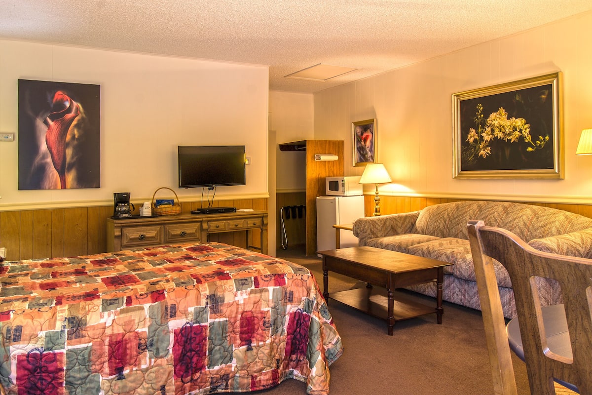 Una habitación de hotel con cama, sofá, televisión, microondas y un cuadro en la pared.