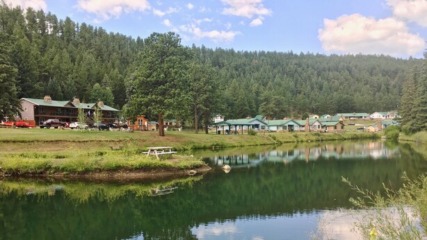 Una vista tranquila del lago con una mesa de picnic y una hilera de casas con techos verdes.
