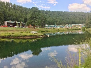 Une vue paisible sur un lac, avec une table de pique-nique et une rangée de maisons aux toits verts.