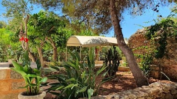 Vista al jardín