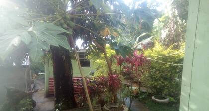 Wale's Yard, Brotfruchtbaumzimmer, sauber und komfortabel