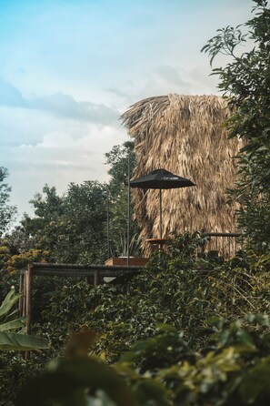 Tienda de campaña Deluxe | Minibar, decoración personalizada, muebles diferentes y wifi gratis 