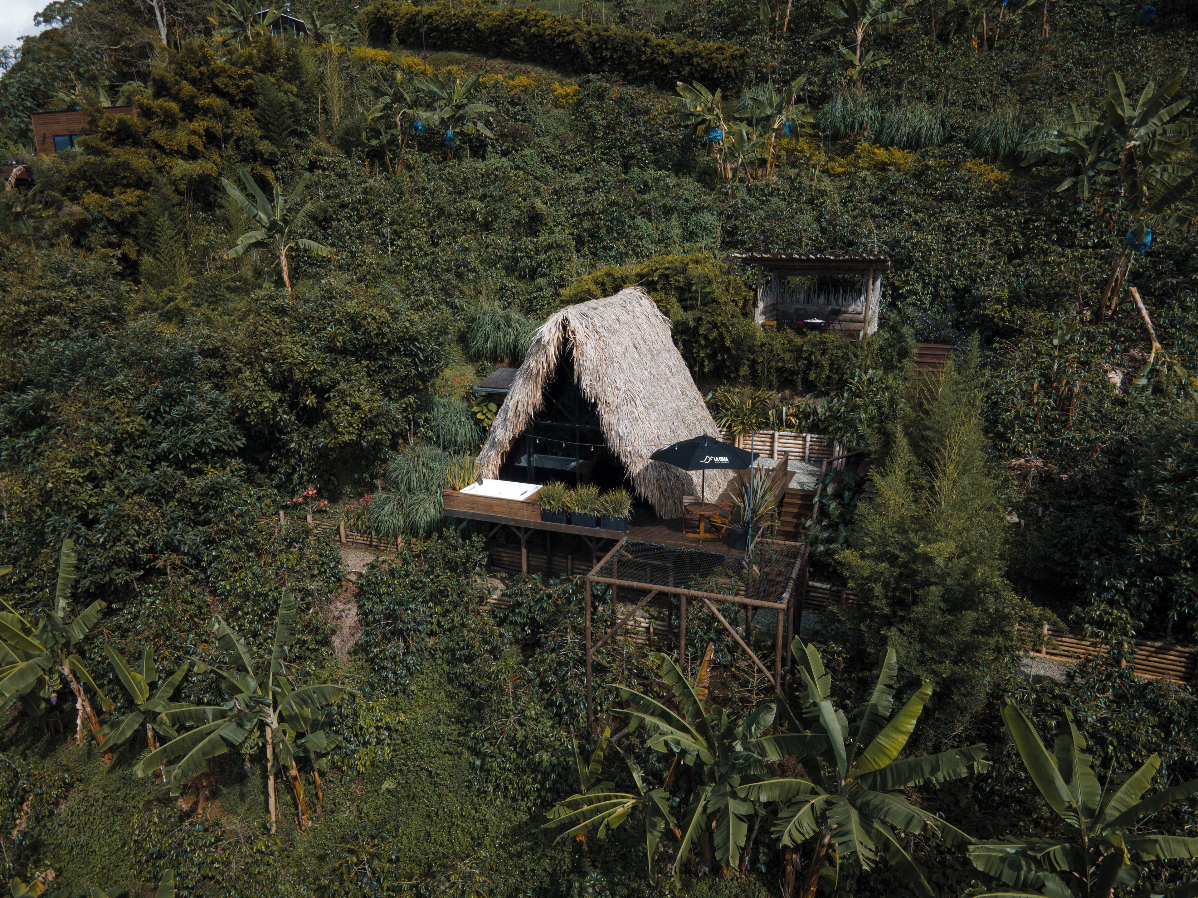 Une construction à toit de chaume, entourée d’une végétation tropicale luxuriante.