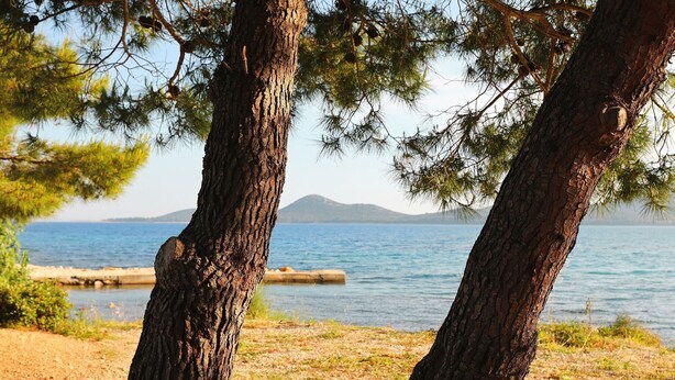 A coastal landscape with pine trees and a clear view of the sea and distant mountains. - Mobile Home Smaragd (Biograd)